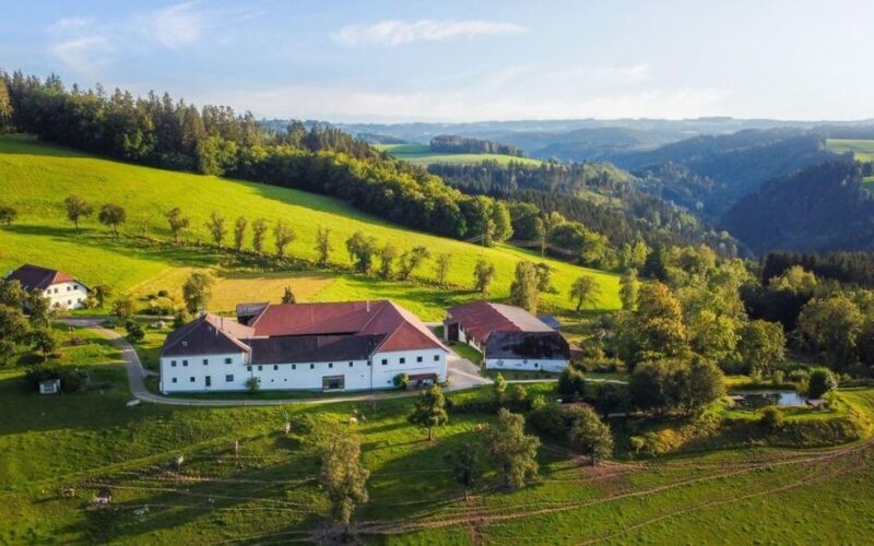 Meditationsretreat Österreich